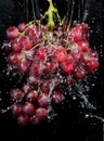 Grapes cluster in water splashes Royalty Free Stock Photo