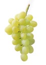 Grapes cluster