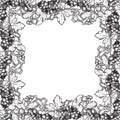 Grapes clusters with leaves. Decorative rectangular frame.