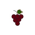 grapes colored icon. Element of fruits and vegetables icon for mobile concept and web apps. Colored grapes icon can be used for Royalty Free Stock Photo