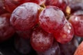 Grapes on a dark background Royalty Free Stock Photo