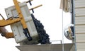 Grapes dumping into a bin for sorting