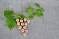 Grapes figure from the wine corks and vine on stone background. Copy space Royalty Free Stock Photo