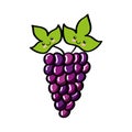 Grapes fresh fruit comic character