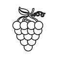 Grapes fresh fruit icon