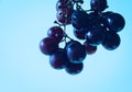 Grapes