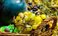 Grapes in fruit basket on different tastes and colors. Royalty Free Stock Photo