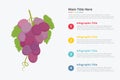 Grapes fruit infographics with some point title description for information template -