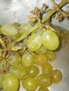 Grapes fruit in zoom shot