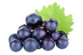 Grapes fruits grape fruit blue isolated on white Royalty Free Stock Photo