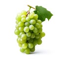 Grapes fruits with leaves Royalty Free Stock Photo