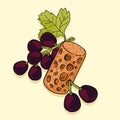 grapes fruits with wine cork