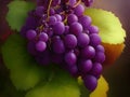 Grapes in Full Bloom: Explore the Delightful World of Grape Pictures