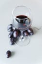 Grapes and a glass of white wine Royalty Free Stock Photo