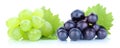 Grapes green blue fresh fruits fruit Royalty Free Stock Photo