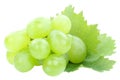 Grapes green fruits fruit leaf leaves isolated on white Royalty Free Stock Photo