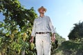 Grapes harvest, Winemaker in vineyard Royalty Free Stock Photo