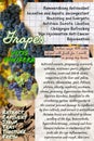 Grapes herbalist notebook page idea