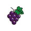 Isolated grapes icon fill vector design