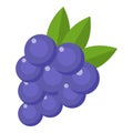 Grapes icon, flat style