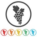 Grapes Icon, Grape logo, 6 Colors Included