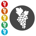 Grapes Icon, Grape logo