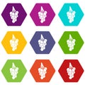 Grapes icon set color hexahedron Royalty Free Stock Photo