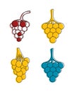 Grapes icon set, color outline style