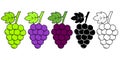 Grapes icon set, red, white and monochrome. Different grape vine types. Wine logo art, isolated cartoon vector