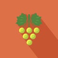 Grapes icon