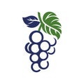 grapes icon vector Royalty Free Stock Photo
