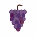 Grapes icon vector image. Royalty Free Stock Photo
