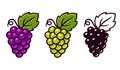 Grapes icons set