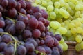 grapes