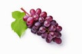 Grapes isolated on white background Royalty Free Stock Photo