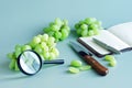 Grapes, knife, notepad, pen and magnifier on a light background. Checking quality of grapes in laboratory. Selection of grapes for