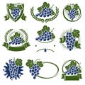 Grapes label and icons set. Collection icon grapes. Vector