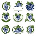 Grapes label and icons set. Collection icon grapes. Vector