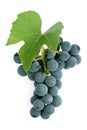 Grapes and leaf Royalty Free Stock Photo