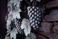 Grapes and leaves forged from steel by skilled blacksmiths.