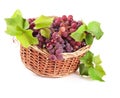 Grapes with leaves in wicker basket, Isolated on white Royalty Free Stock Photo