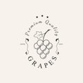 grapes line art design vector logo illustration