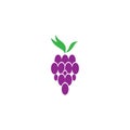 Grapes logo template vector icon illustration design Royalty Free Stock Photo