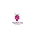 Grapes logo template vector icon illustration design Royalty Free Stock Photo