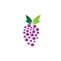 Grapes logo template vector icon illustration design Royalty Free Stock Photo