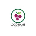Grapes logo template vector icon illustration design Royalty Free Stock Photo