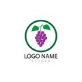 Grapes logo template vector icon illustration design Royalty Free Stock Photo