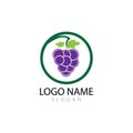 Grapes logo template vector icon illustration design Royalty Free Stock Photo