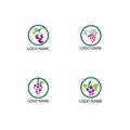 Grapes logo template vector icon illustration design Royalty Free Stock Photo