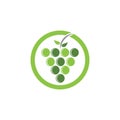 Grapes logo template vector icon illustration design. Royalty Free Stock Photo